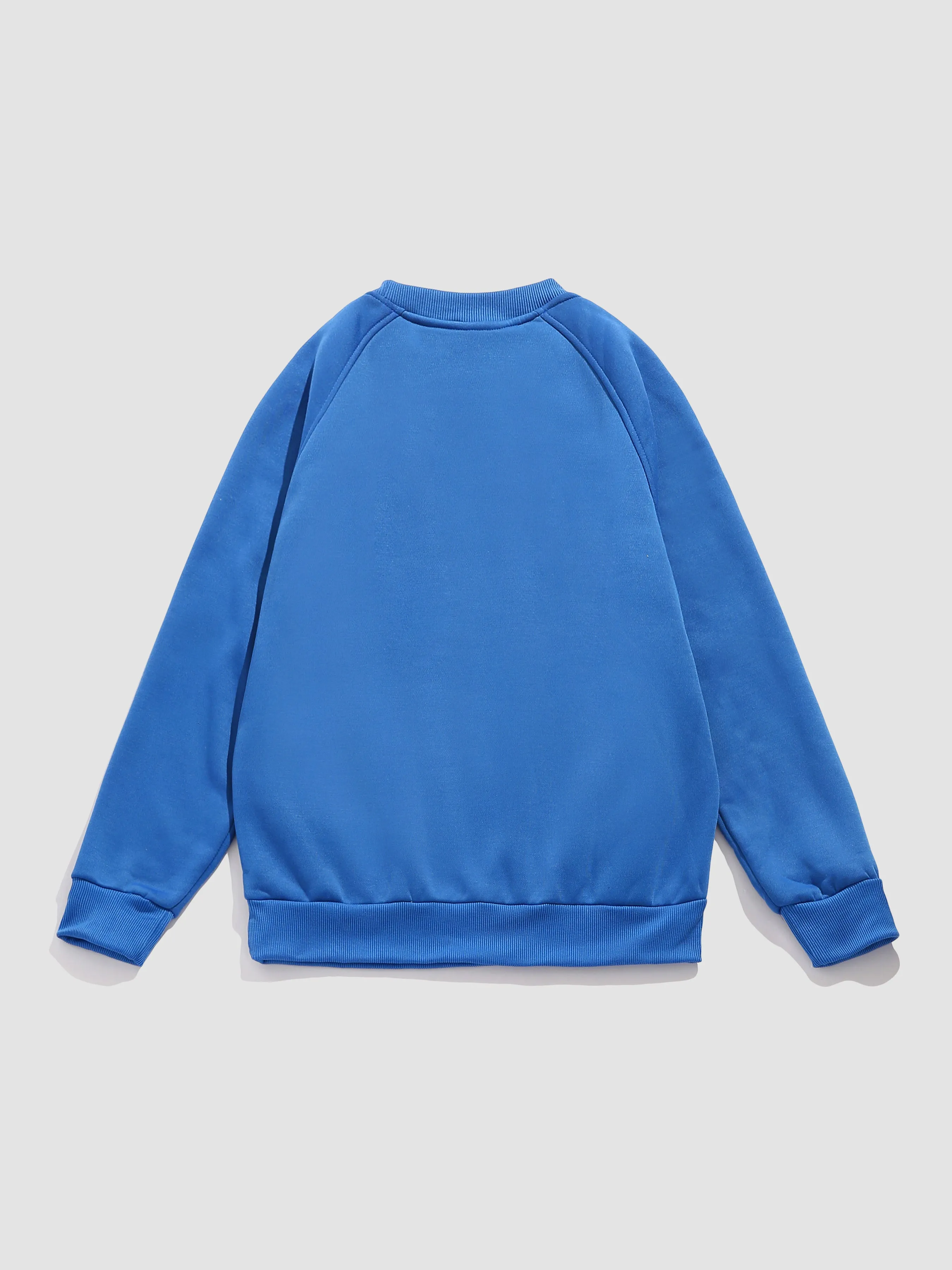 Basic Multicolor Sweatshirts