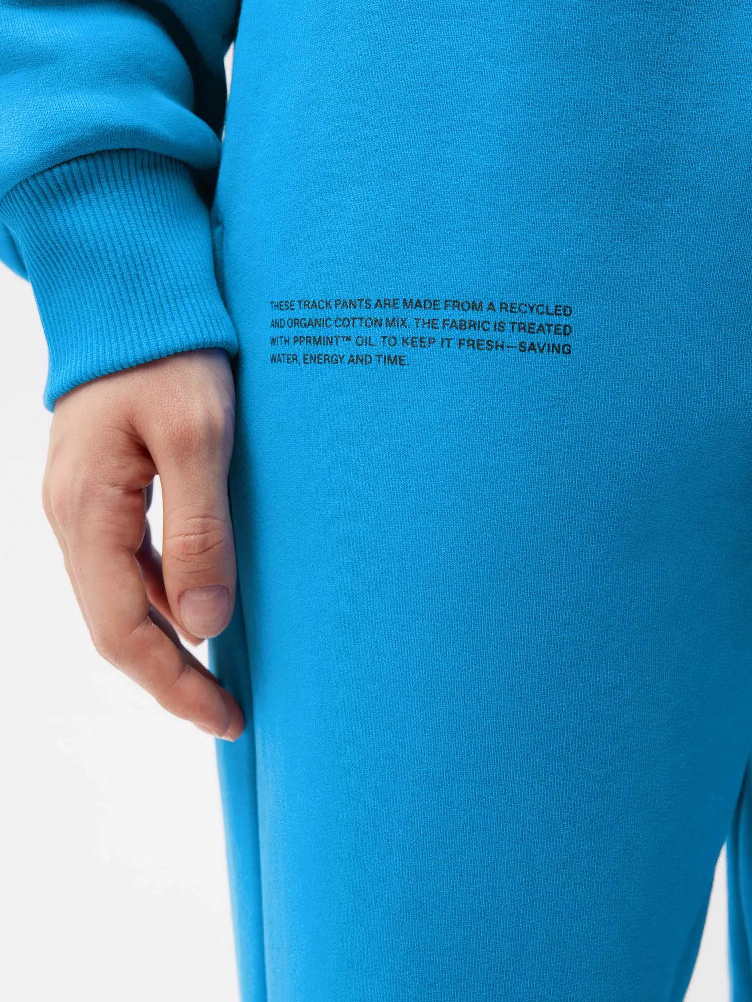 Womens 365 Heavyweight Track Pants—cerulean blue